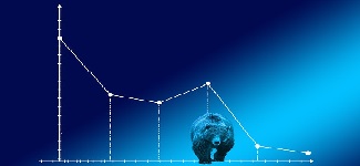 Investing Daily - bear