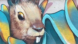 Notes from the Rabbit Hole