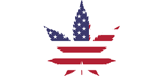 USA cannabis banner2