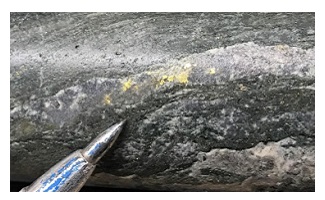 2020-12-31-Drill Results