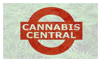 Six Pot Stocks up YTD