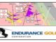 Endurance Gold - Reliance Gold Project
