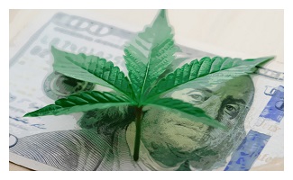 U.S. Public Cannabis Markets