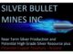 Silver Bullet - SBMI - image
